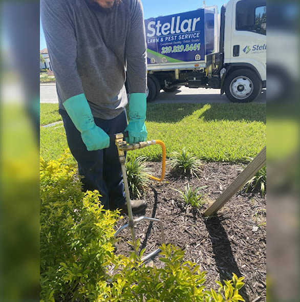 Lawn and Pest Control