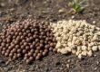 Slow-release vs quick-release fertilizers